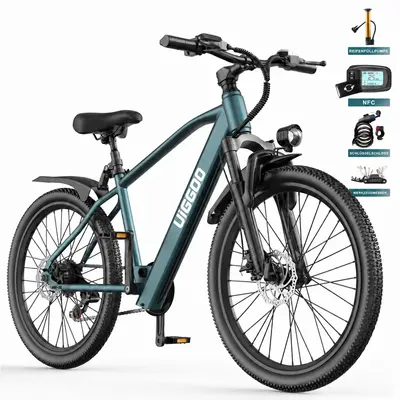 E-Bike Trekking 24/26 Zoll, RH 48 cm, 360 Wh grün Elektrofahrrad