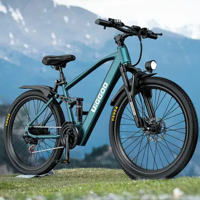 Elektrofahrrad 26 Zoll E-Bike, 36V 13Ah Akku herausnehmbar, LCD-Display, 21-Gang