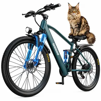 26 Zoll Elektrofahrrad Erwachsene Pendeln E-Bike 36V 13Ah 65km Komfort
