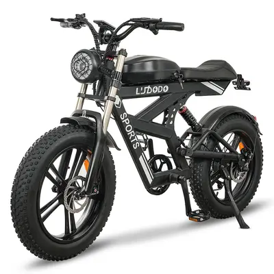 E-Bike für Erwachsene 20 Zoll, Elektrofahrrad 750W mit 48V 17.8Ah Akku