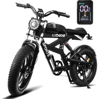 E-Bike Fatbike 20*4 Zoll Elektrofahrrad 48V 17,8 Ah 120km Weit LCD