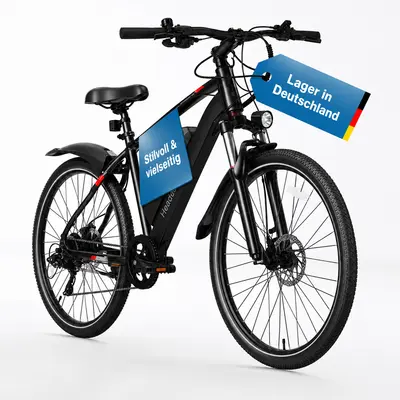 City E-Bike 26 Zoll-720Wh - Herausnehmbarer Akku - 7-Gang - Rahmenhöhe 48 cm