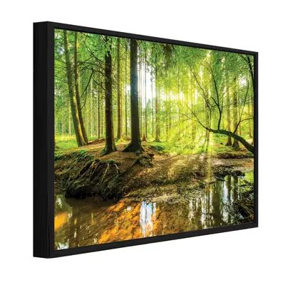 Leinwand Bilder mit Rahmen Wald Natur Grün Wandbild XXL Leinwandbild Wohnzimmer