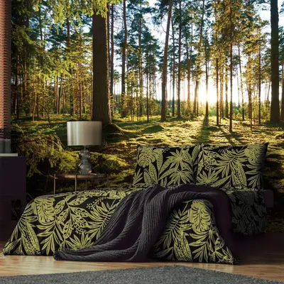 Fototapete Wald Sonne Bäume Natur Wohnzimmer VLIES TAPETE XXL + KLEISTER