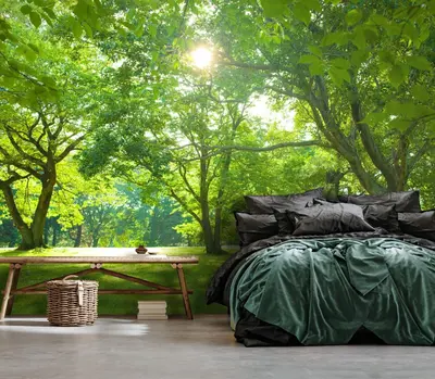 Fototapete Wald Sonne Grün 3D Bäume Wiese Wohnzimmer VLIES TAPETE + KLEISTER