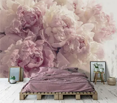 BLUMEN ROSEN Vlies Fototapete Schlafzimmer Rosa beige Pfingstrose TAPETE XXL