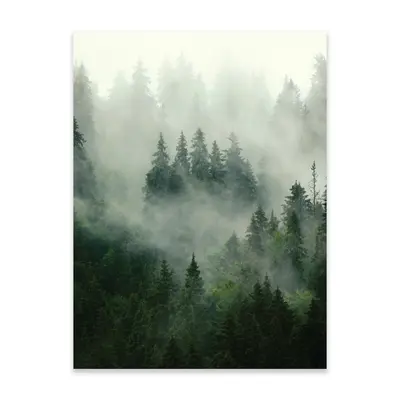 Poster Wald Nebel 30x40 / 50x70 / 70x100 Hochformat OHNE RAHMEN XXL Wandposter