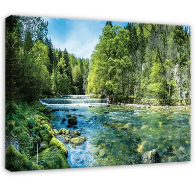 Leinwand Wald Wasser Grün Natur Wandbilder Groß Leinwandbild Wanddeko 165