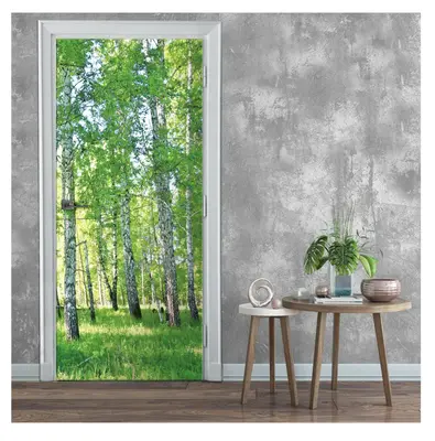 Fototapete Für Tür Türtapete Selbstklebend Türposter WALD NATUR Küche Türfolie