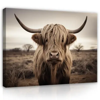 Leinwand Bilder Schottisches Hochlandrind Wohnzimmer Leinwandbild Wandbilder XXL