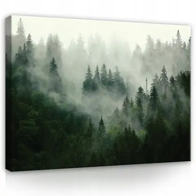 Leinwand Bilder WALD NEBEL NATUR XXL Wandbilder Modern Canvas Wohnzimmer 21