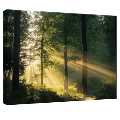 Leinwand Bilder Wald Natur Wanddeko Wandbilder Groß Leinwandbild XXL Bilder