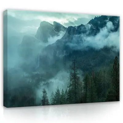 WALD NEBEL NATUR Leinwandbild Groß Wandbilder Leinwand Bilder Canvas Wandbild 63