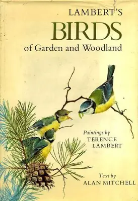 Birds of Garden and Woodland von Alan Mitchell, T. Lambert