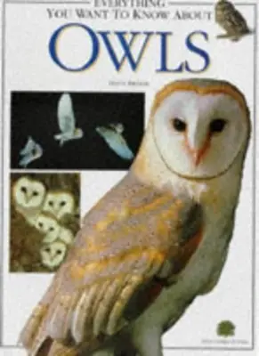 Everything You Want to Know About Owls By Dilys Breese