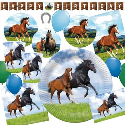 PFERD PONY GEBURTSTAG Geschirr Deko Kindergeburtstag Kinder Pferde Fohlen Party