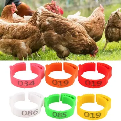 100x Verstellbar Clip On Leg Band Ringe für Hühner Enten Hühner Geflügel Taube