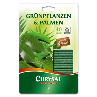 Chrysal Grünpflanzen & Palmen Düngestäbchen - 40 Stück Pflanzennahrung
