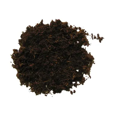 Terrano Forest 25L-Pinienrinde Einstreu Terrarium Echsen Schlangen Reptilien