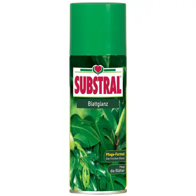 Substral Blattglanz 200 ml Spray Blätter Blatt Grünpflanzen Blattspray Pflanzen