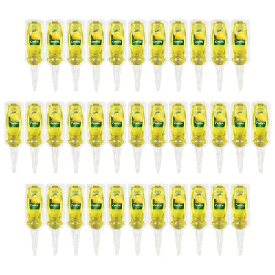 Chrysal Zitruspflanzen Vitalkur 35x 30 ml Anwendungsfertiger Zitrus Dünger