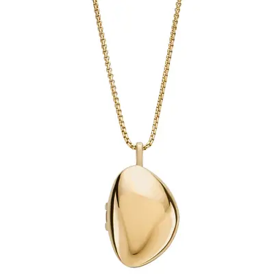 Skagen Damen Kette Halskette Edelstahl Kariana Gold Medaillon SKJ1752710