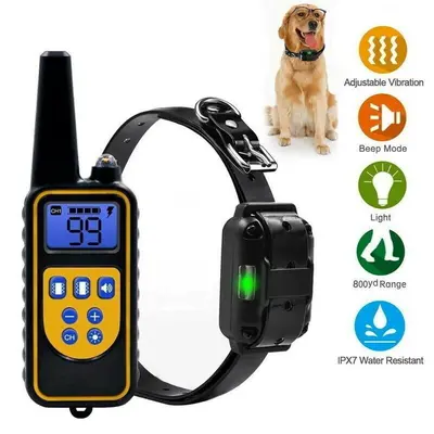 Hund Erziehungshalsband Ausbildung Fernbedienung Training Ton Vibration Schock