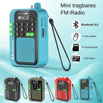 Tragbarer FM Radio Bluetooth Lautsprecher TF Karte USB Stick Musik MP3 Player