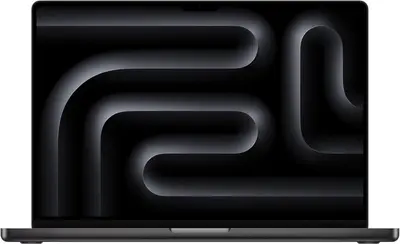 Apple MacBook Pro 16" 2024 M4 Max/36/1 TB 14C CPU 32C GPU Space Schwarz MX303D/A