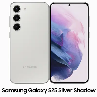 Samsung Galaxy S25 256GB Silver Shadow - Sehr Gut (Ohne Simlock)