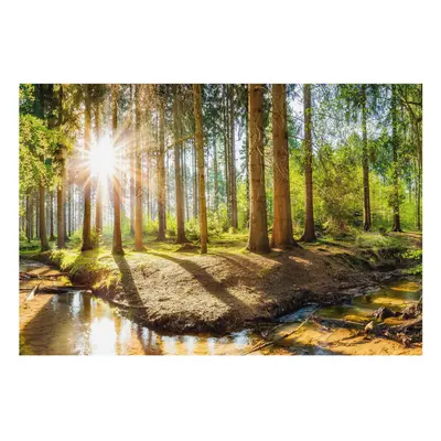 Vlies Wandfolie Vlies Tapete für Einfache Montage Wanddekor Waldidylle Grün