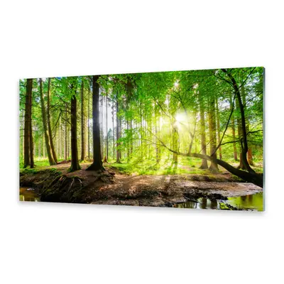 Glasbilder Wandbild Druck auf Glas Wald Sonne