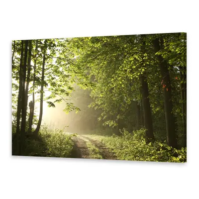 Leinwand-Bilder Wandbild Druck auf Canvas Kunstdruck Waldweg