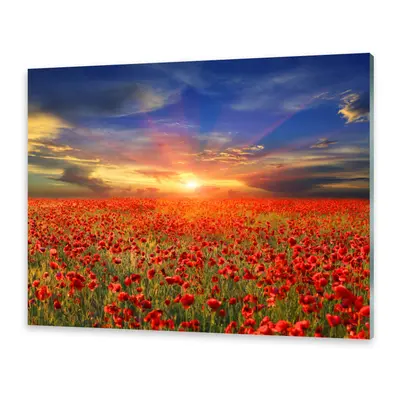 Glasbilder Wandbild Druck auf Glas Mohnfeld