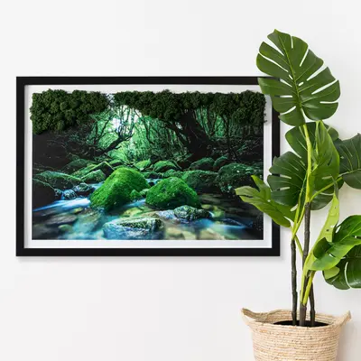 Wandbild mit Moos- Schwarzer Rahmen 60x40 cm- Fluss inmitten eines Waldes