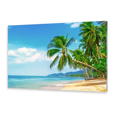 Glasbilder Wandbild Druck auf Glas Strand Palmen