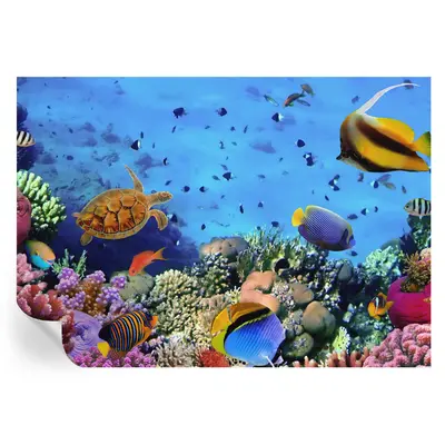 Selbstklebende Wandtapete einfache Montage Eine Unterwasserwelt Voller Farben