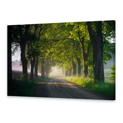 Leinwand-Bilder Wandbild Druck auf Canvas Kunstdruck Baumgasse
