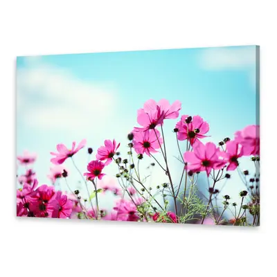 Leinwand-Bilder Wandbild Druck auf Canvas Kunstdruck Blume Himmel