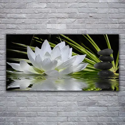 Wandbilder Glasbilder Druck auf Glas 120x60 Blume Steine Wasser Pflanzen