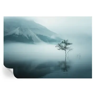 Große Selbstklebende Fototapete Wanddeko Ein Einsamer Baum Im Morgennebel