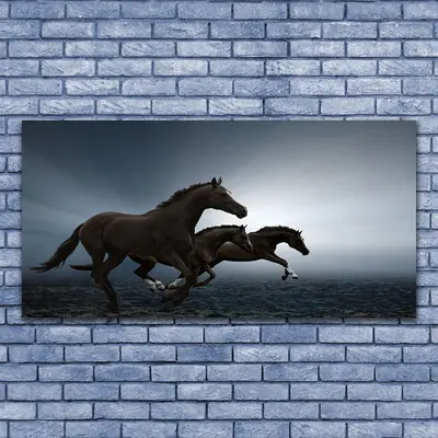 Leinwand-Bilder Wandbild Leinwandbild 140x70 Pferde Tiere