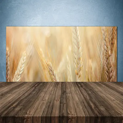 Küchenrückwand aus Glas ESG Spritzschutz 140x70cm Weizen Pflanzen