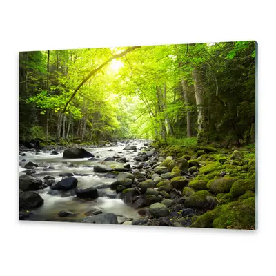 Glasbilder Wandbild Druck auf Glas Bergfluss