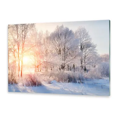 Glasbilder Wandbild Druck auf Glas Bäume Winter