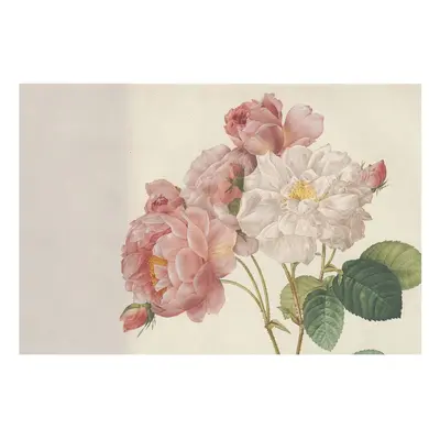 Vlies Tapete Vliestapete Wandbild Vliesdruck FotoTapete Romantische Rosen Rosa