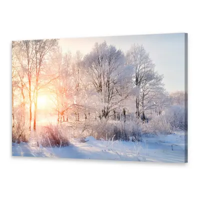 Leinwand-Bilder Wandbild Druck auf Canvas Kunstdruck Bäume Winter
