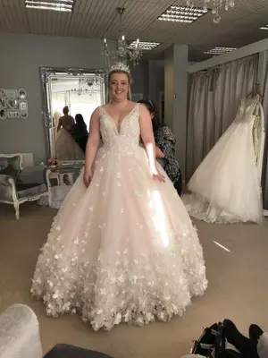 Wunderschönes Brautkleid 3D Schmetterling V-Ausschnitt Spitze Blush Rosa
