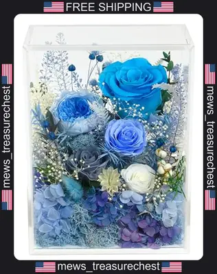 Indoor Handarbeit Rosenstrauch Geschenk Natur Konserviert Blumen in Klarsichtbox