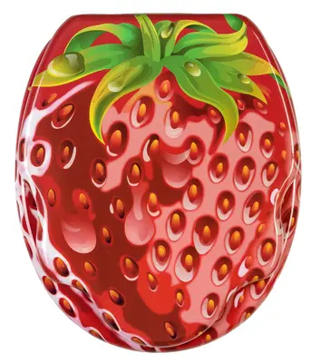 KLOBRILLE TOILETTENSITZ TOILETTENBRILLE WC BRILLE KLOSITZ KLODECKEL STRAWBERRY